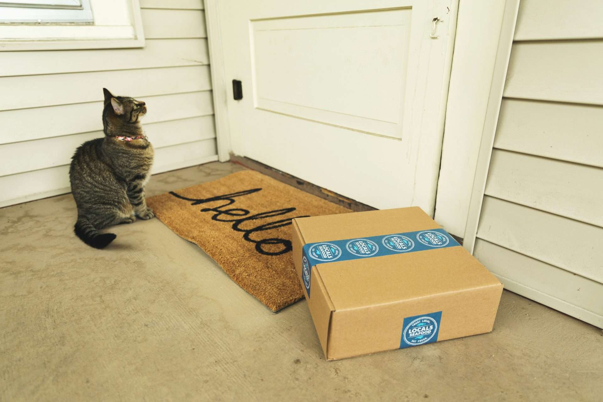 Delivered package at a customer’s doorstep symbolizing eCommerce fulfillment and last-mile delivery.